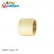 CPVC CAP 20MM ( 1/2 inch )