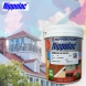 NIPPOLAC ROOFING PAINT GREEN