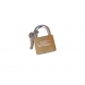 PADLOCK 50MM