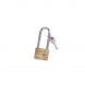 PADLOCK LONG-ARM 38MM